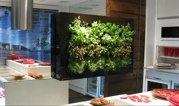 Jardin vertical en una cocina